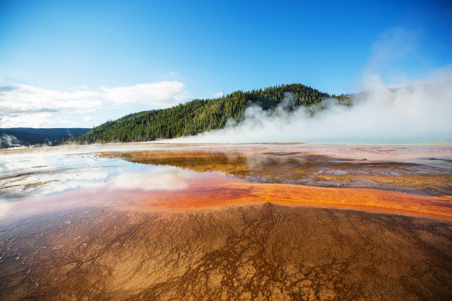 Yellowstone